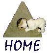 PINARDAN Home